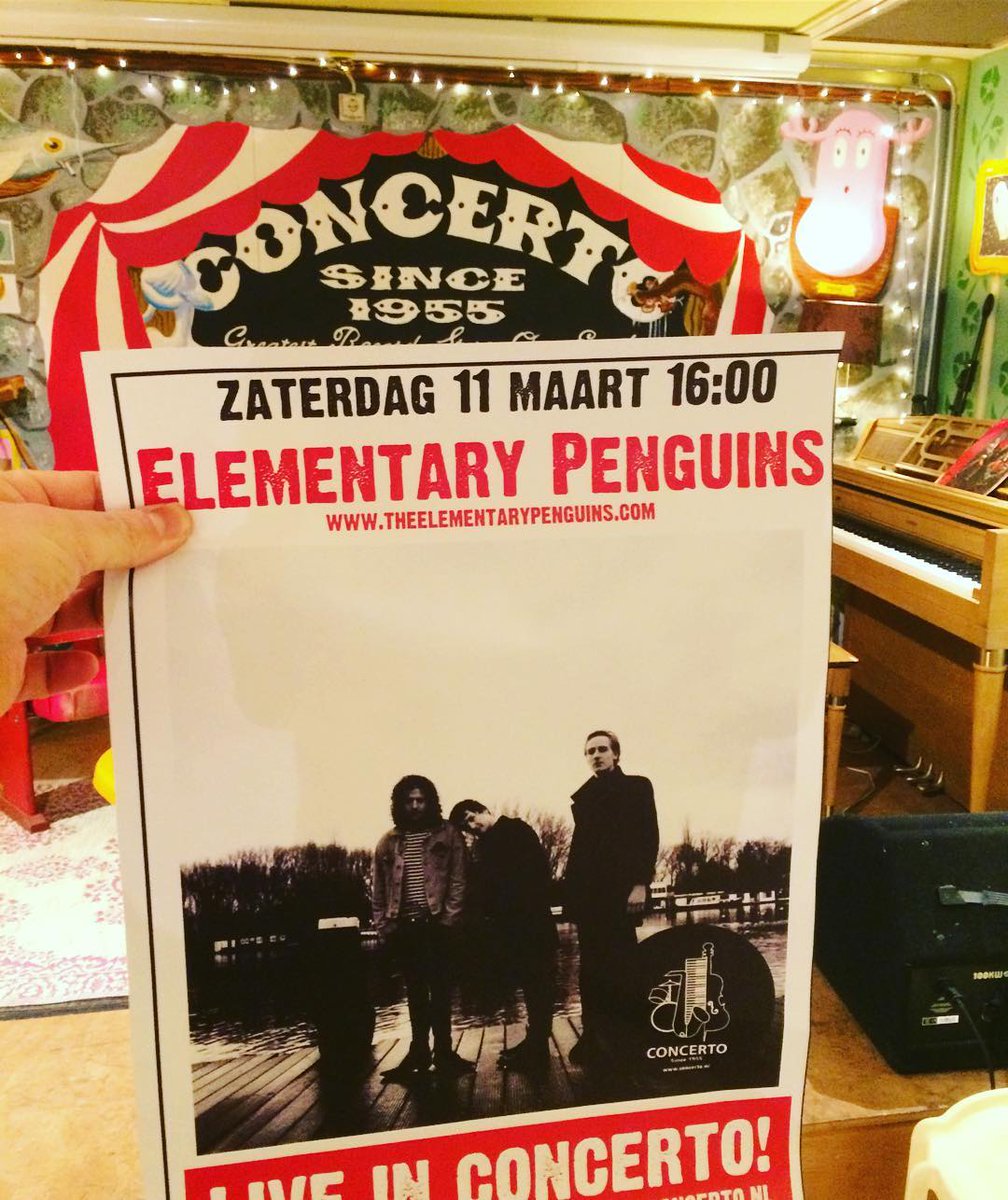 Concerto Recordstore tweet media