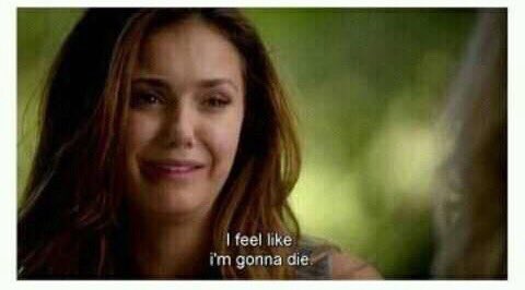 kreconefrytki's tweet photo. Każdy z nas dzisiaj #TVDForever https://t.co/Zem8KMzBgt