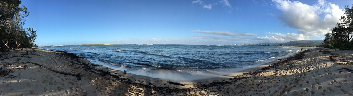 hickman_anna's tweet photo. Excellent #aslo2017 conference in Hawaii #aslomtg. Now having some serious #sunshine withdrawals. https://t.co/xKqklesqow