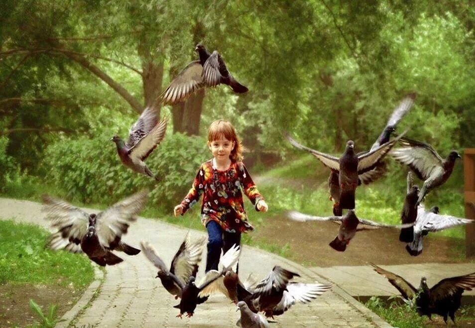 Ребенок гоняет. Птицы для детей. Человек птица. Дети гоняют птиц. Голубей гонять.