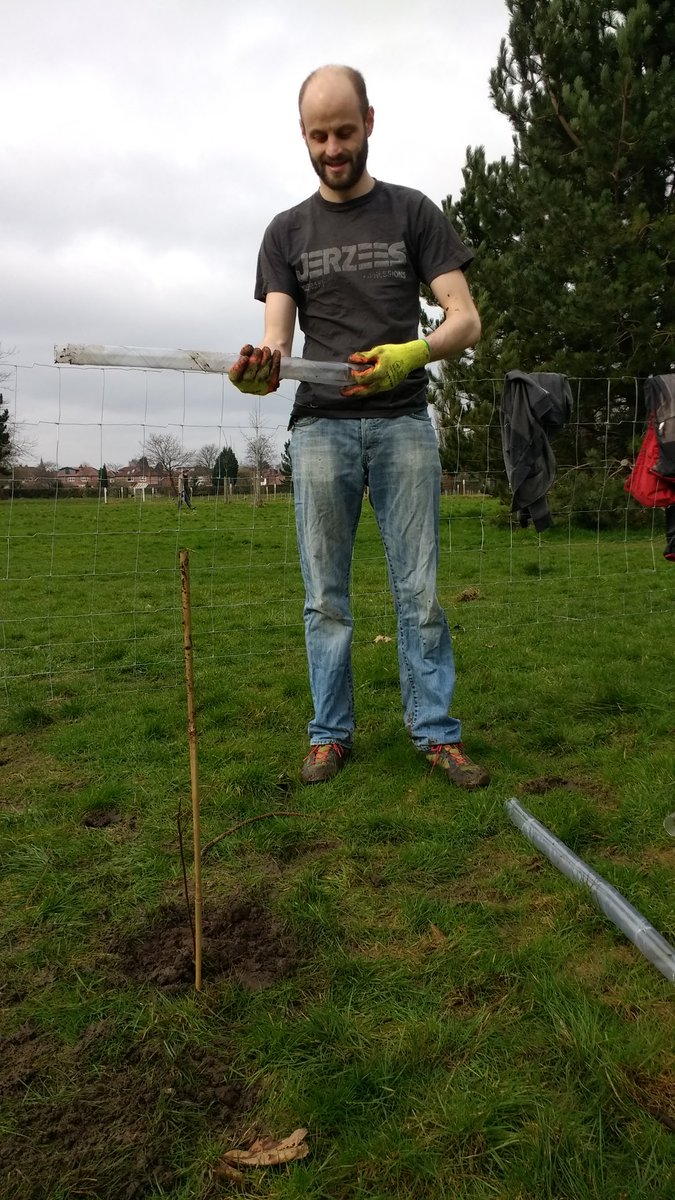 MCRDiscGolf's tweet photo. The trees are going in! #1kTrees planted in  Longford Park. https://t.co/FBGm9emk5p