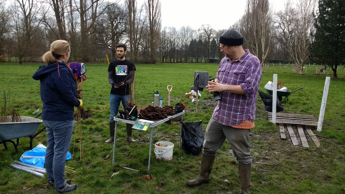 MCRDiscGolf's tweet photo. The trees are going in! #1kTrees planted in  Longford Park. https://t.co/FBGm9emk5p