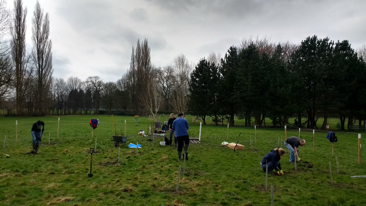 MCRDiscGolf's tweet photo. The trees are going in! #1kTrees planted in  Longford Park. https://t.co/FBGm9emk5p