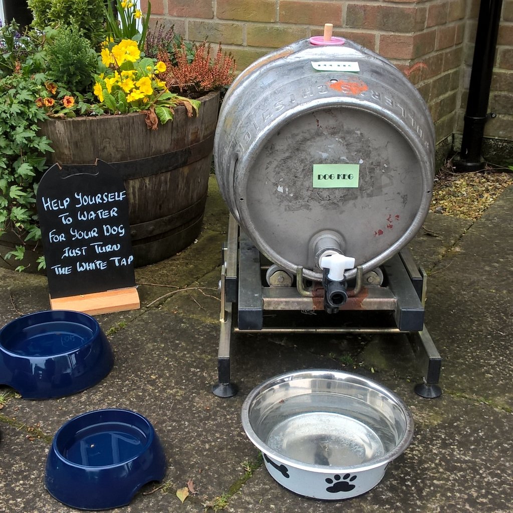 BearAndRagStaff's tweet photo. #whoof mines a pint whoof# https://t.co/CROih5I5LN