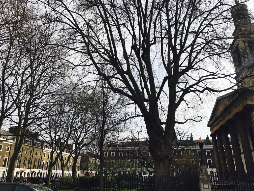 Glorious: Trinity Church Square, SE1 in the spring sunshine