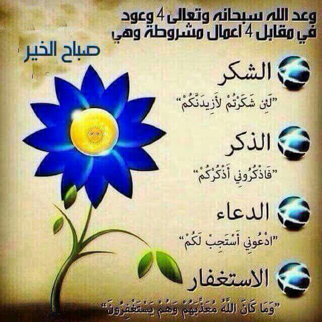 ﮼آبوعبدالعزيز ﮼الجش🇰🇼 (@alsham5_m6) on Twitter photo 