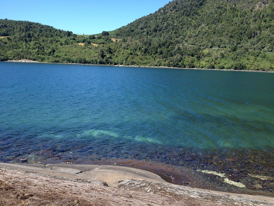 alsurdechile's tweet photo. ¿Conoces la Península de #Illahuapi, Lago #Ranco.
Gentileza: Carla Lobos Prieto #SurdeChile
https://t.co/1aMjw1Pcdh https://t.co/L8VIMYx8YH