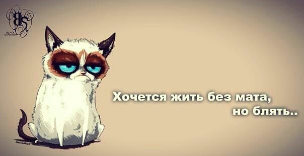 Мошенник, создавший "турфирму" в Мариуполе, "заработал" третье уголовное дело - Цензор.НЕТ 3895
