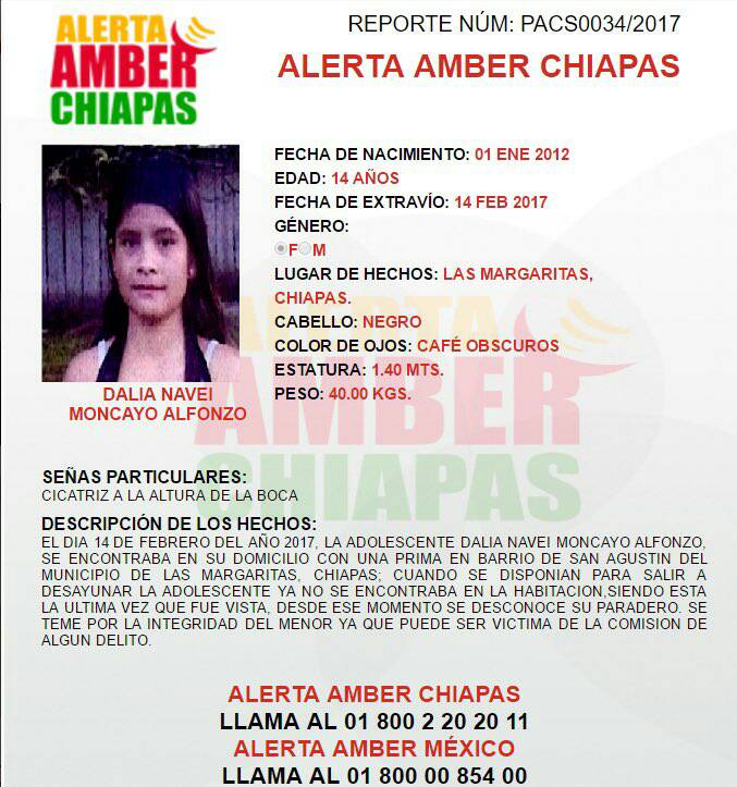 Notinucleo's tweet photo. Ayúdanos a difundir la #PreAlertaAmber de Dalia Navei Moncayo de 14 años. Desapareció el 14 de Febrero en Barrio San Agustín, Las Margaritas https://t.co/YdoRV4LLUj