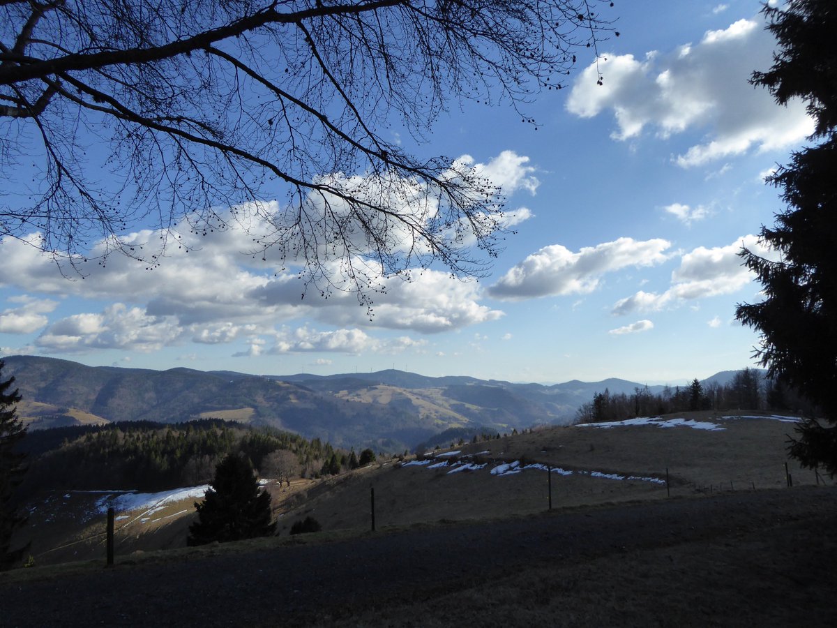 HSderSchreiber's tweet photo. Auf dem Panoramaweg oberhalb #Aitern war kaum Schnee zu sehen. 2. Bild: #Holzinshaus. https://t.co/ua3XtCZJVd