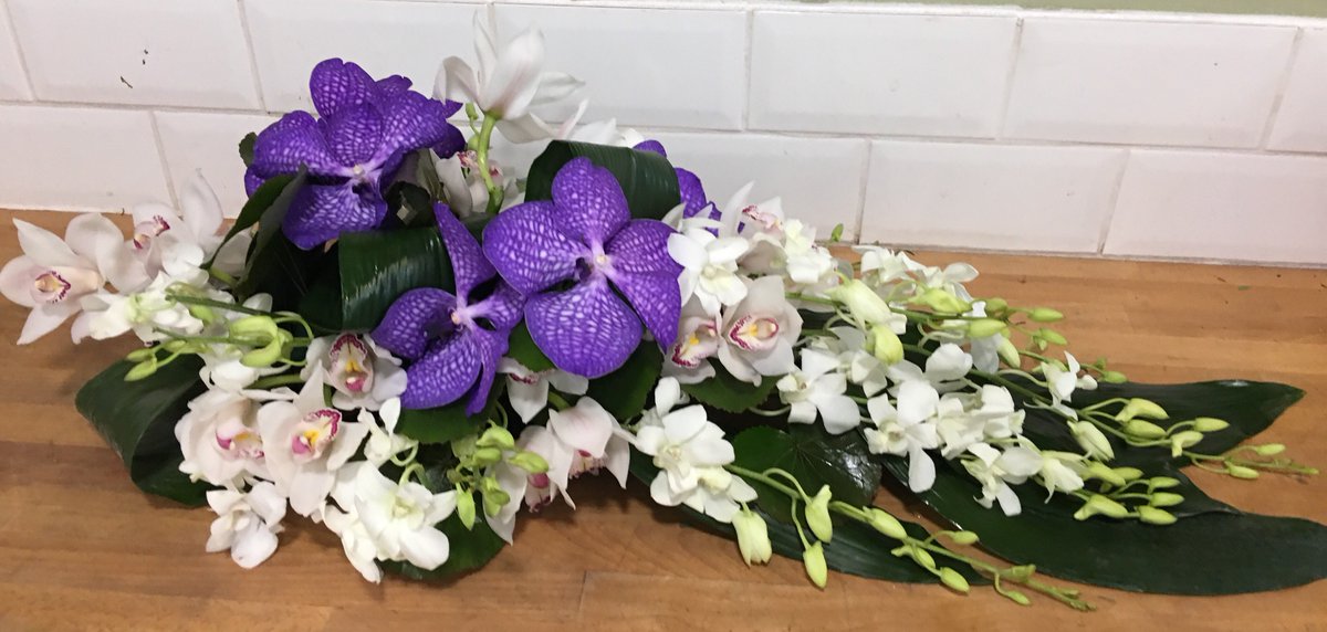AnneWhysall's tweet photo. Orchid funeral tribute #orchids #somethingspeical #flowers #sayitwithflowers https://t.co/rd5ZGEdtgZ