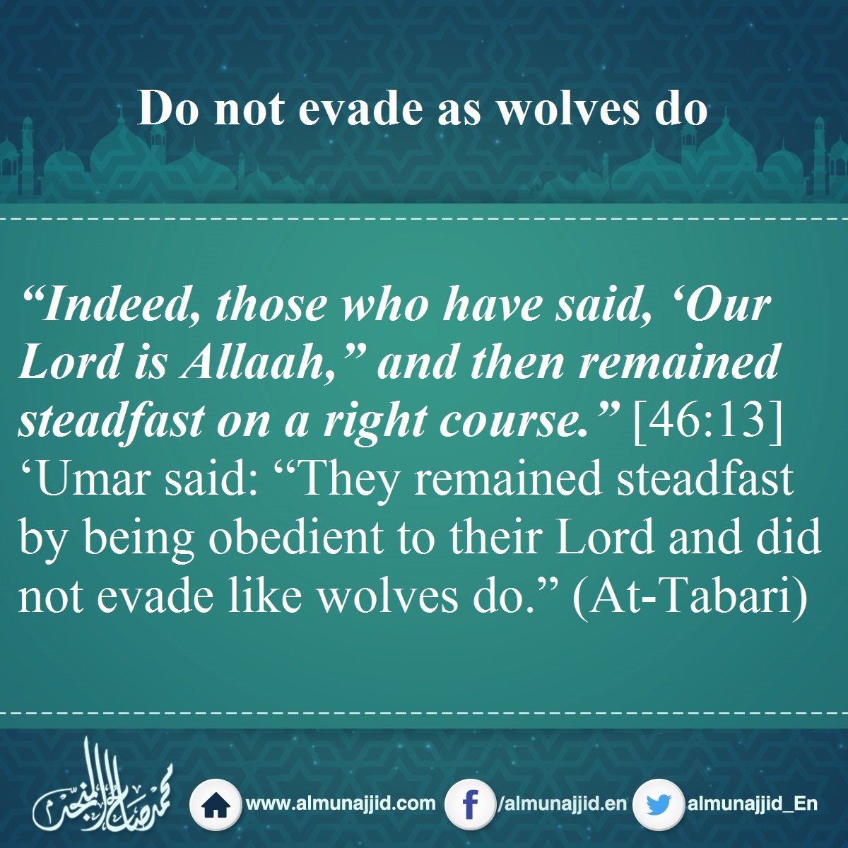 almunajjid_En's tweet image. Do not evade as wolves do

#evading #firmness #obedience