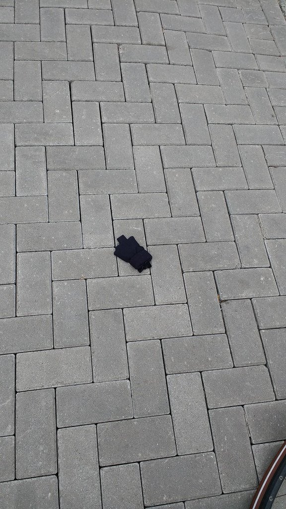 nestpasbart's tweet image. March 11, 2017 at 11:03AM Found a fresh one! #lostfound flic.kr/p/SgdMKy