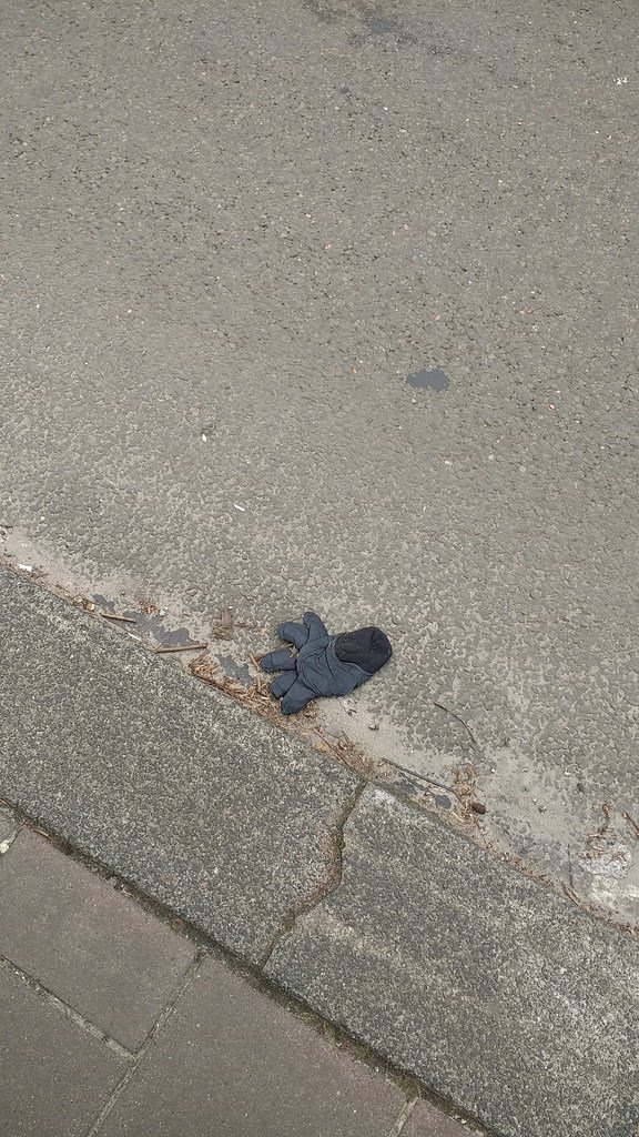 nestpasbart's tweet image. March 11, 2017 at 11:06AM Found a fresh one! #lostfound flic.kr/p/RyxT9w