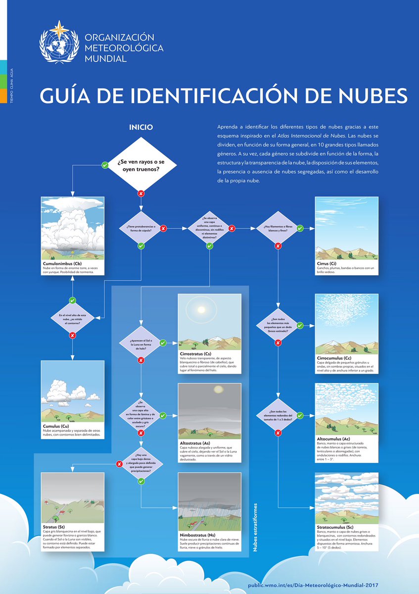 jantsalado's tweet photo. ☁️¿Miras al cielo y no sabes qué tipo de nubes ves?☁️Utiliza esta guía fácil para clasificarlas gracias a @WMO #Entendiendolasnubes https://t.co/JZV1rKcb7k