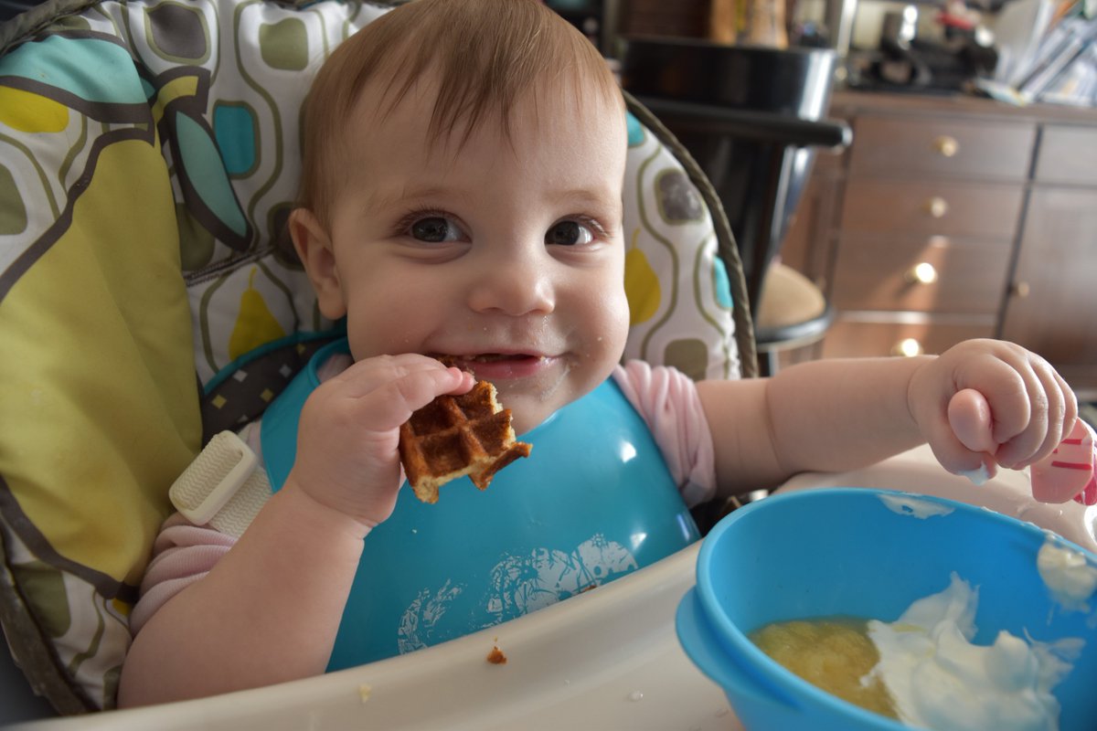 lornekates's tweet photo. Who has two teeth and a hankering for some @altonbrown waffles? THIS GIRL!
#abgrams https://t.co/JDQFvroF21