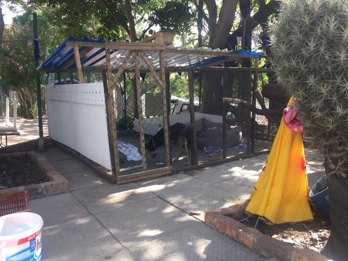 #MandelaPark The Domestic Animal Rescue Group (DARG) has rescued 70 dogs &amp; 6 cats from the fire. They're over capacity. MM