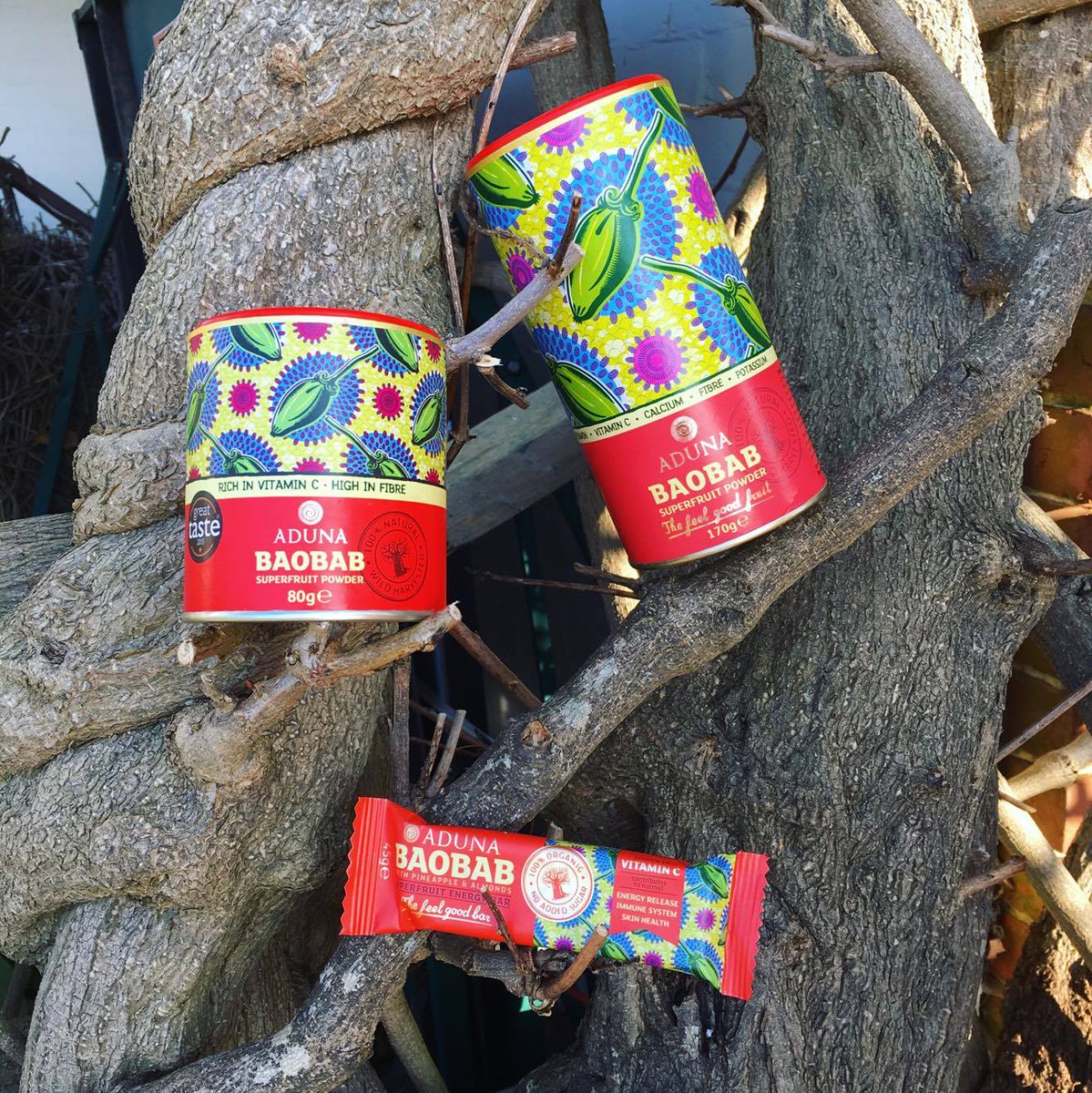 AdunaSuperfoods's tweet photo. Forever wishing we had a #baobab tree in our back garden...🌴🍈 https://t.co/DACFnmKK55