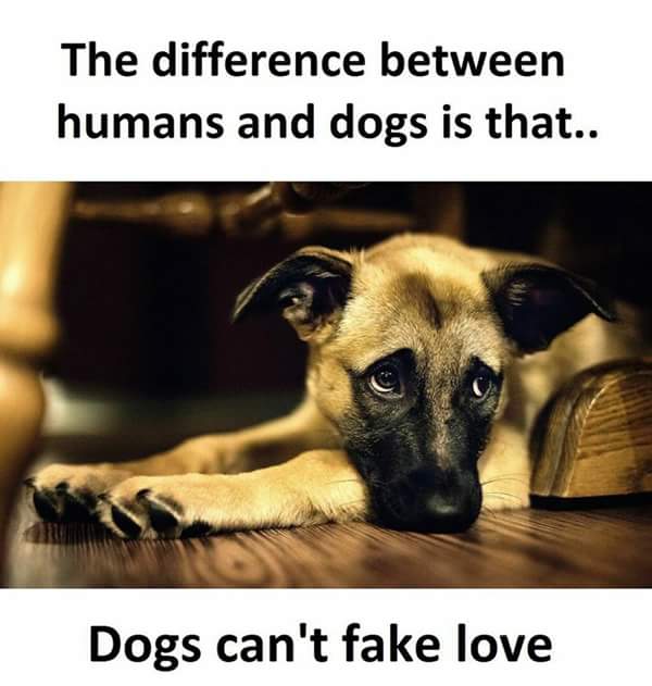 RahulCommando's tweet image. 