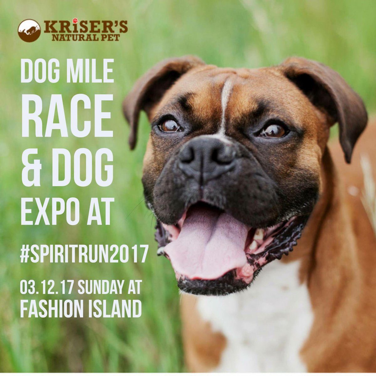 nmspiritrun's tweet photo. You can also run with your #dog at tomorrow's #spiritrun2017 in the @KrisersPets #dogmile https://t.co/qCzL5j0VDF https://t.co/sTUOF05HZH