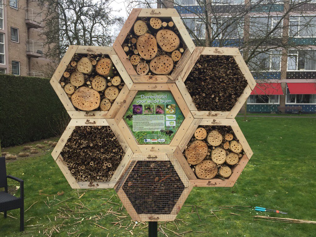 #nldoet met <a href="/IVNNederland/">IVN Natuureducatie</a> en <a href="/food4bees/">Stichting Food4Bees</a> een mooi bijenhotel geplaatst bij <a href="/Ruitersbos111/">Ruitersbos</a>
