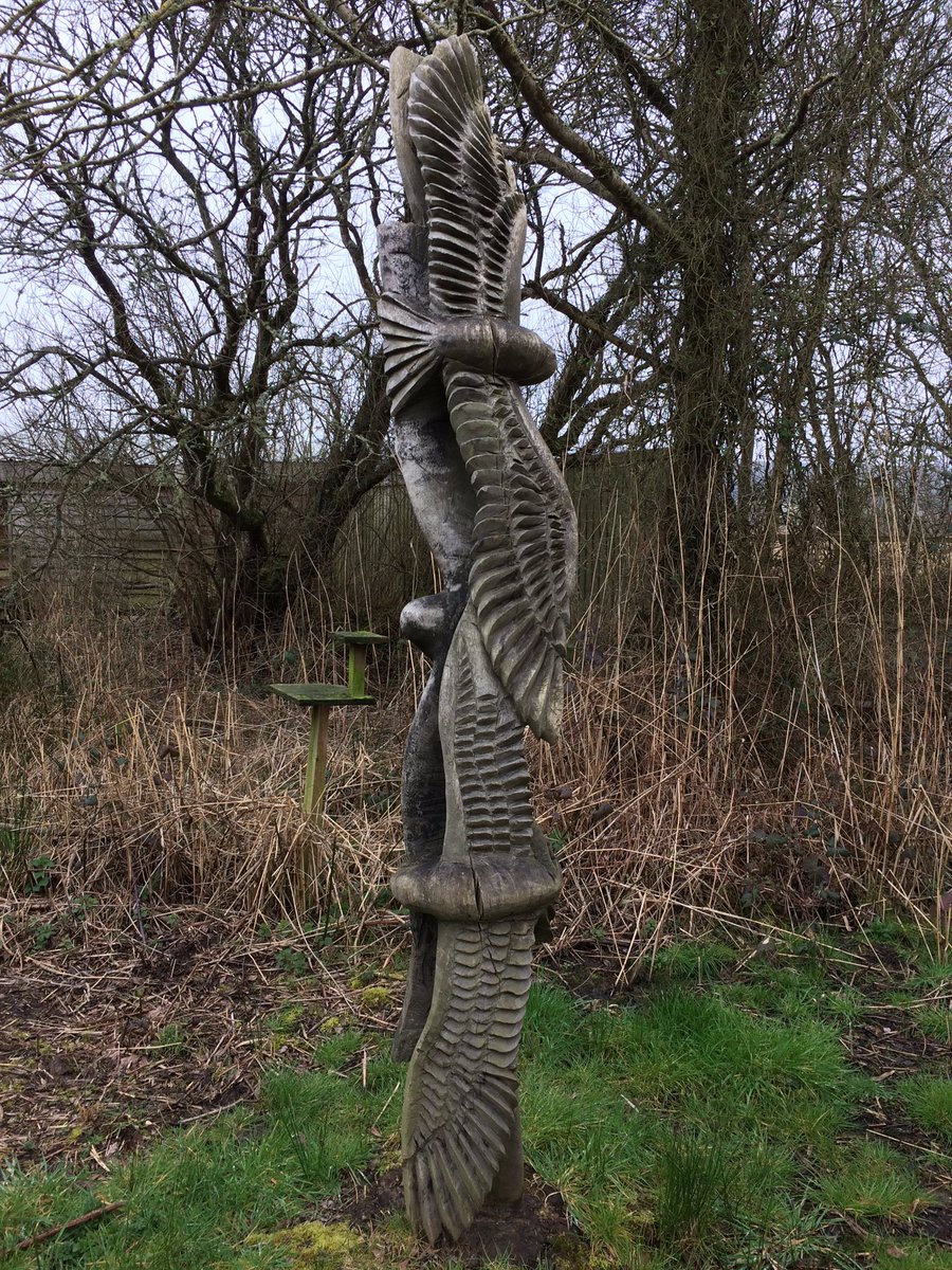 Gowerinspired's tweet photo. Brisk walk to shake off the cobwebs at #Oxwich #gower this afternoon. Natures having a party! #springbirdsong https://t.co/23phuEqdFp