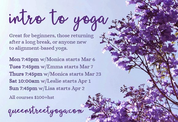 thebranchesyoga's tweet photo. Find the day that fits your schedule, and bring a friend to share the fun! https://t.co/nVwkdGdE4a #dtklove #dtkyoga #hathayoga https://t.co/2cVL3VphOt