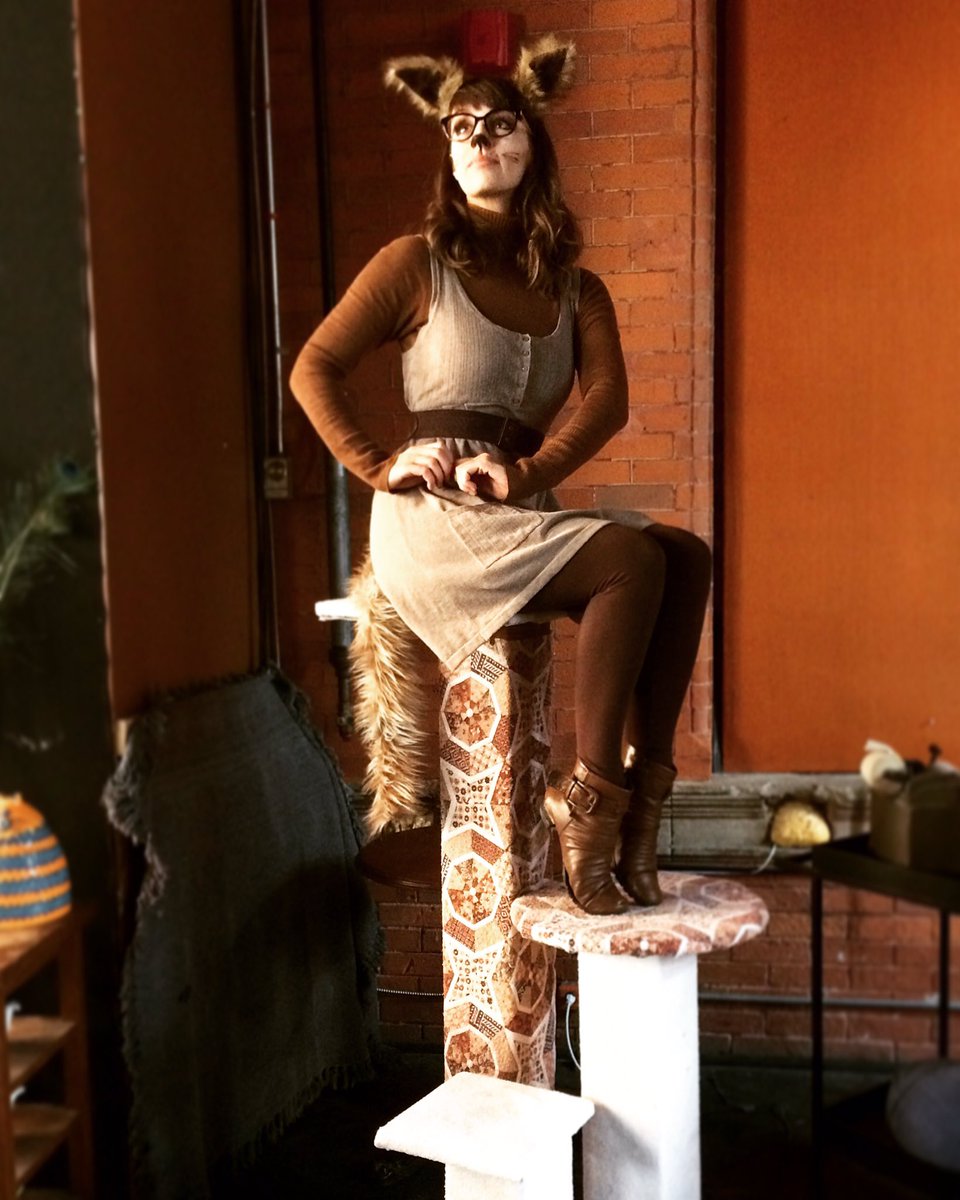 And here we see the noble hipster cat atop its mighty cat tree... #felinefine #letstrade