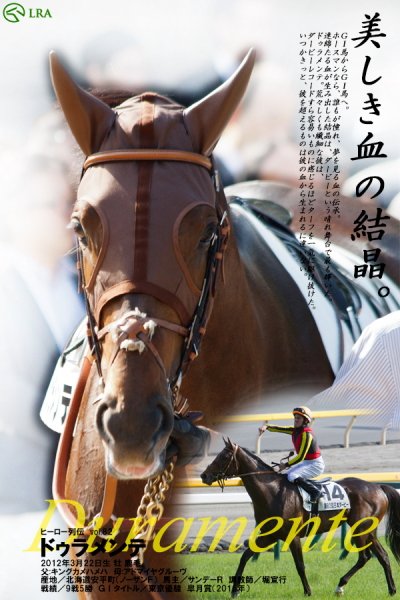 新品，得価 ドゥラメンテ JRA第76回皐月賞ポスター