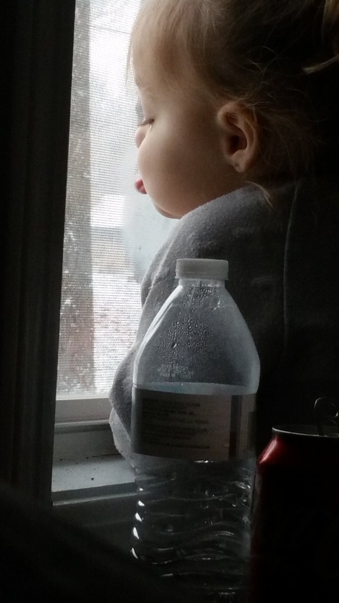 Vadersbitch89's tweet photo. She was confused by the snow, and then licked the window. #mykidisweird #winderlicker #shouldibeworried https://t.co/AMBeOnnLKS