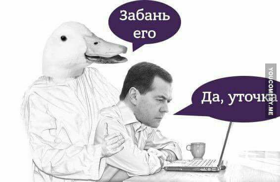 Забань его! Да, уточка