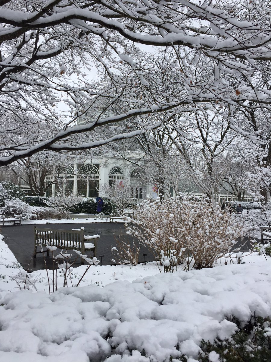 TreeBugGal's tweet image. The NY Botanical took my breath away! #fireandice #flowersandsnow #orchidnybg