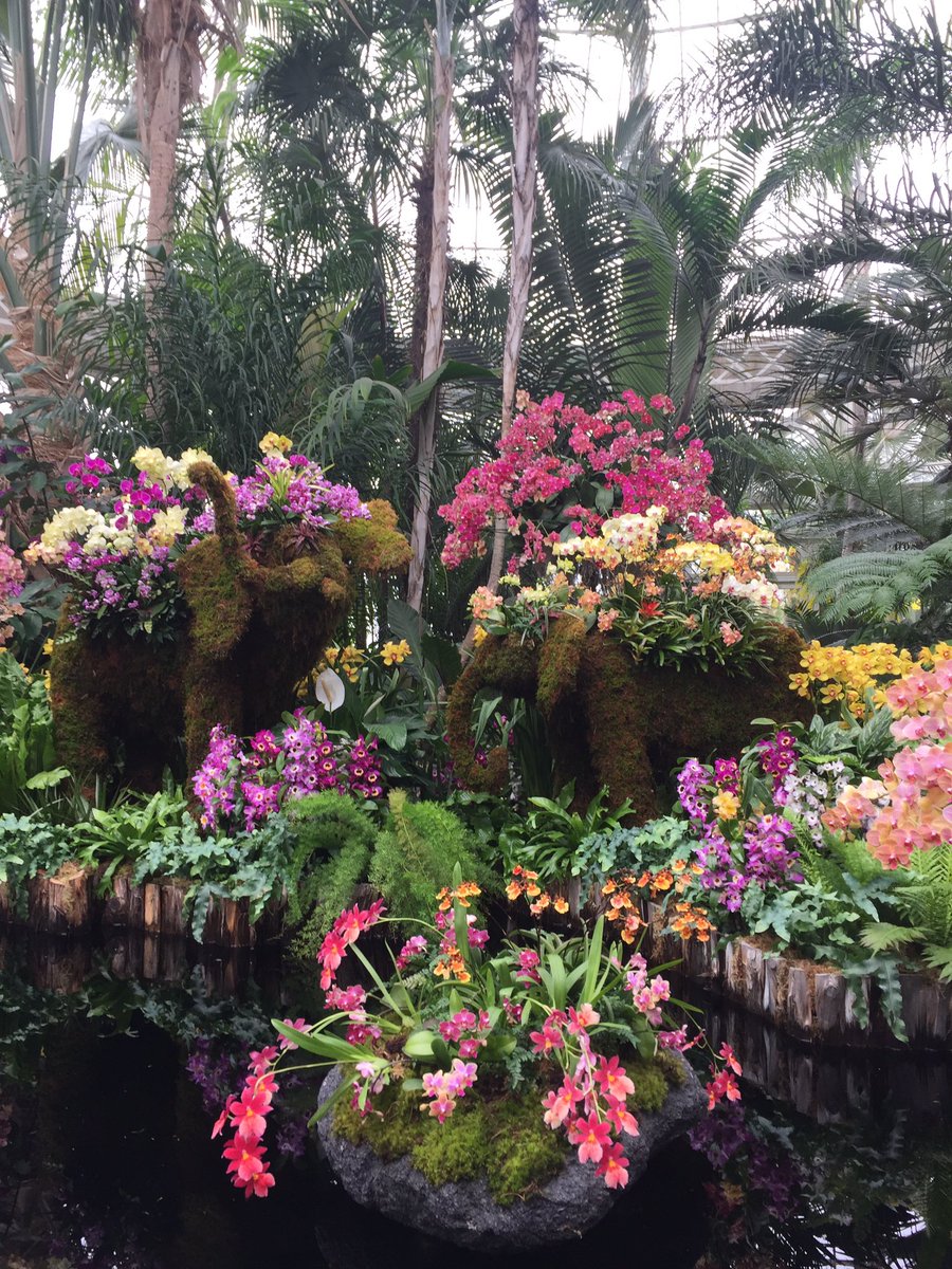 TreeBugGal's tweet image. The NY Botanical took my breath away! #fireandice #flowersandsnow #orchidnybg