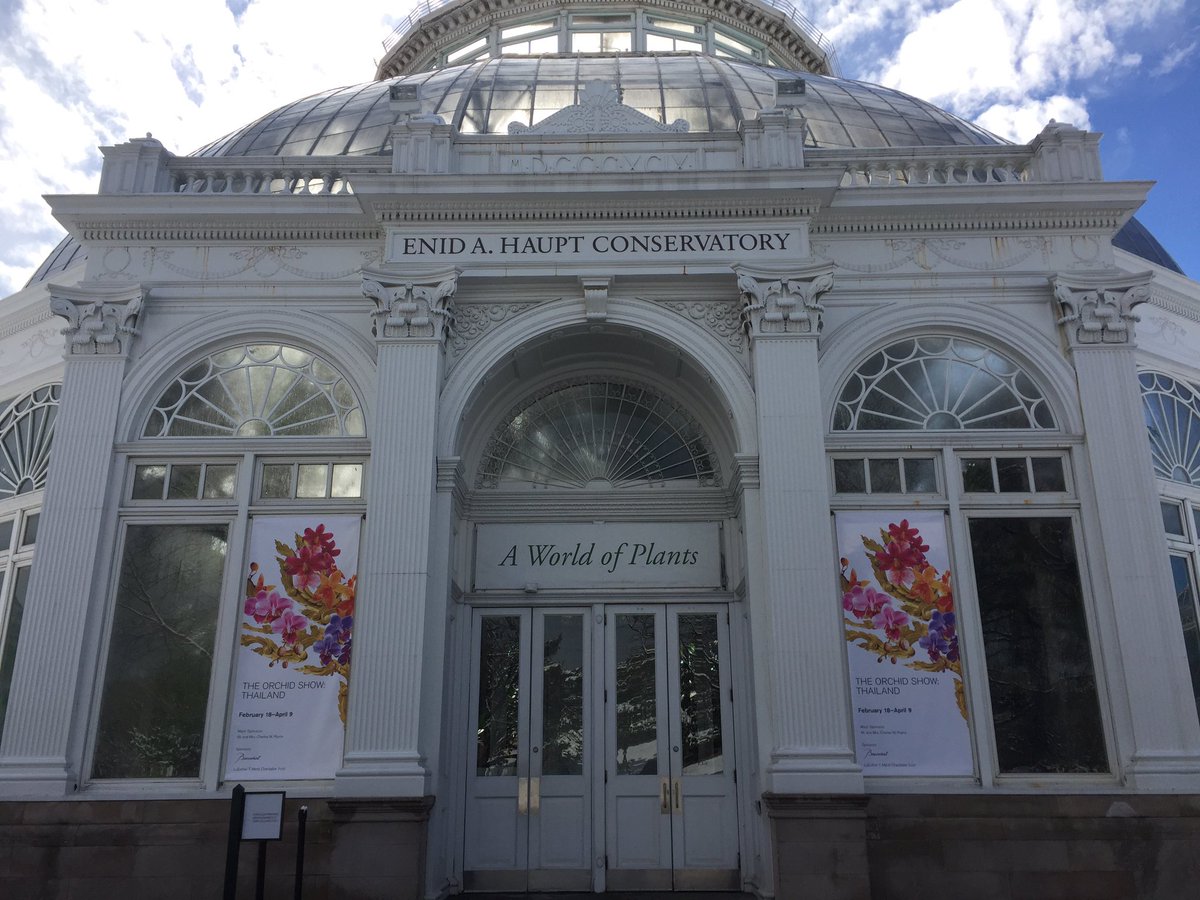 TreeBugGal's tweet image. The NY Botanical took my breath away! #fireandice #flowersandsnow #orchidnybg