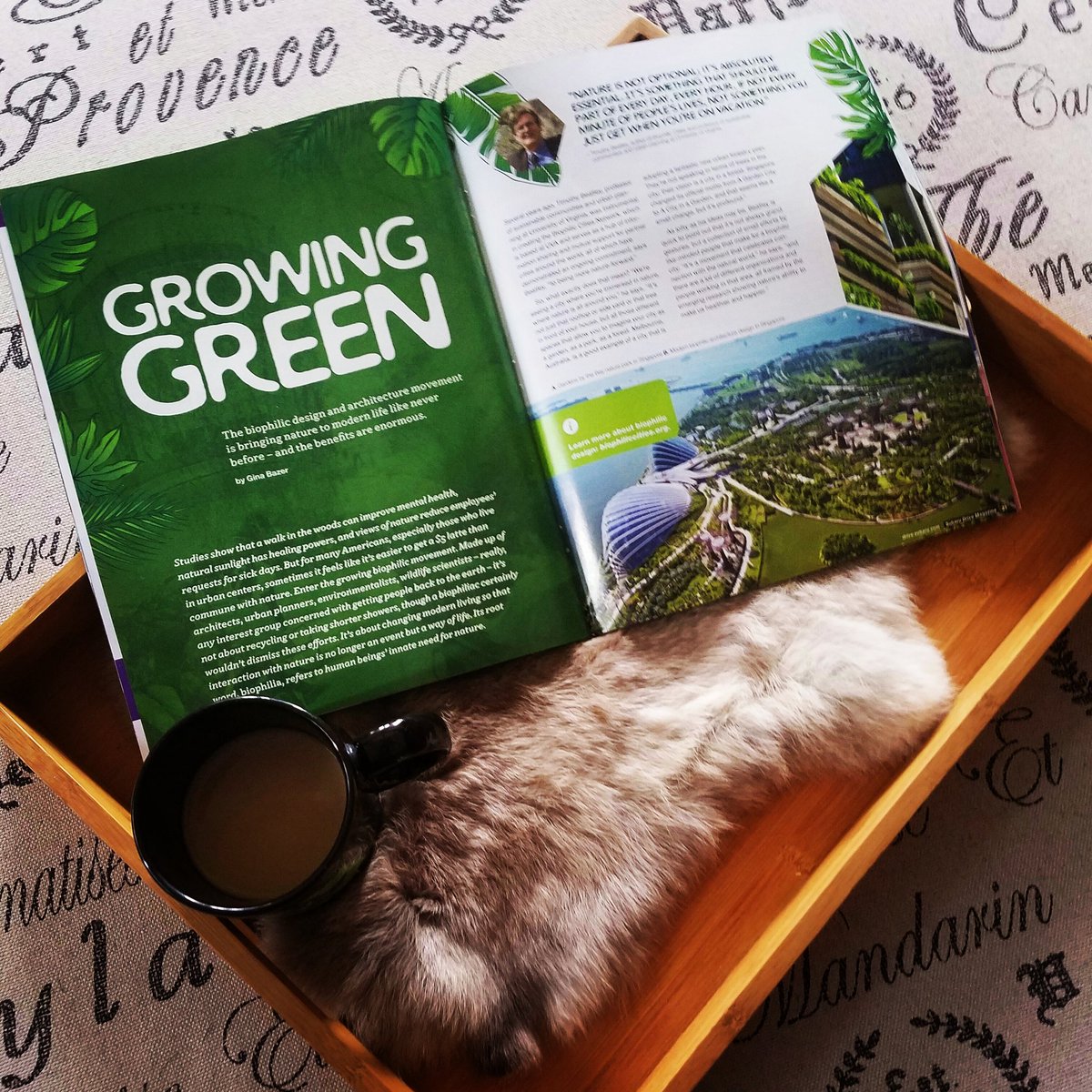 A lazy Saturday morning calls for some French-pressed coffee and a good read #Travel #getoutside