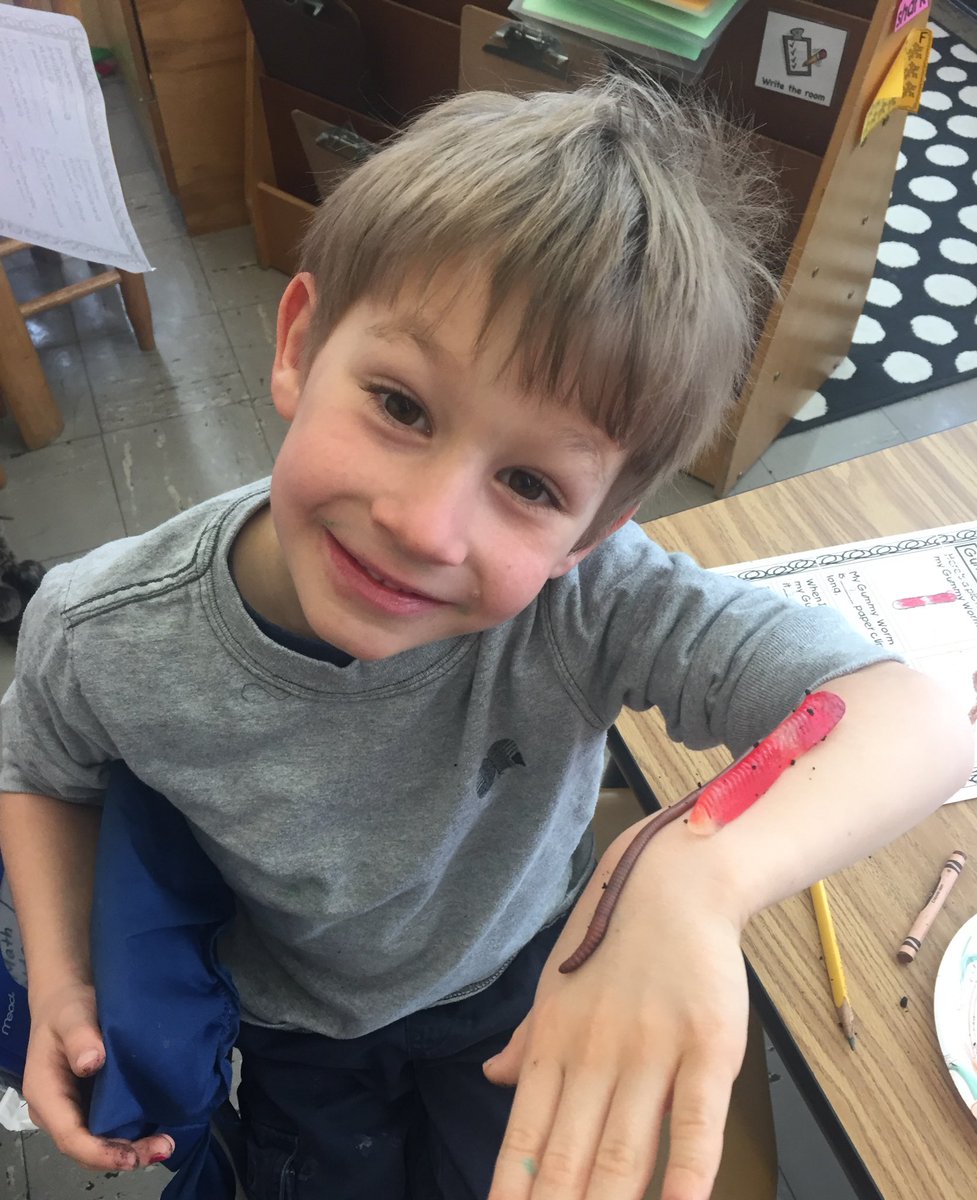 Mrs_Assad's tweet photo. Night crawlers vs. gummy worms! Living or nonliving? #kscience #vdvpartners4progress #allin4theville https://t.co/xDCqmak8kv