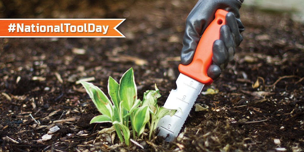 amleonardinc's tweet image. Happy #NationalToolDay! Also known as, National Worship of Tools Day. #HandTools #FavoriteTools #Toolsofthetrade #Horticulture #AMLeonard