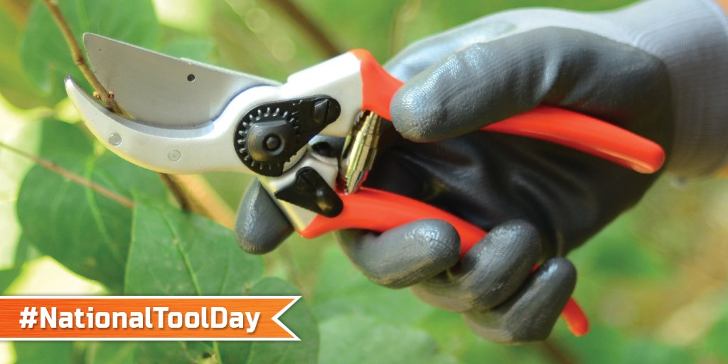 amleonardinc's tweet image. Happy #NationalToolDay! Also known as, National Worship of Tools Day. #HandTools #FavoriteTools #Toolsofthetrade #Horticulture #AMLeonard