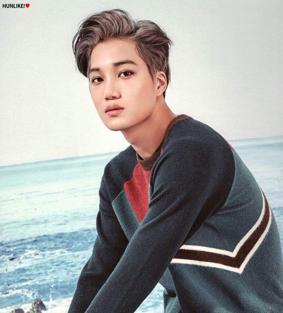 FabulousKpopHQ's tweet image. Best Visual😍

RT for Kai #Exo
LIKE for V #Bts