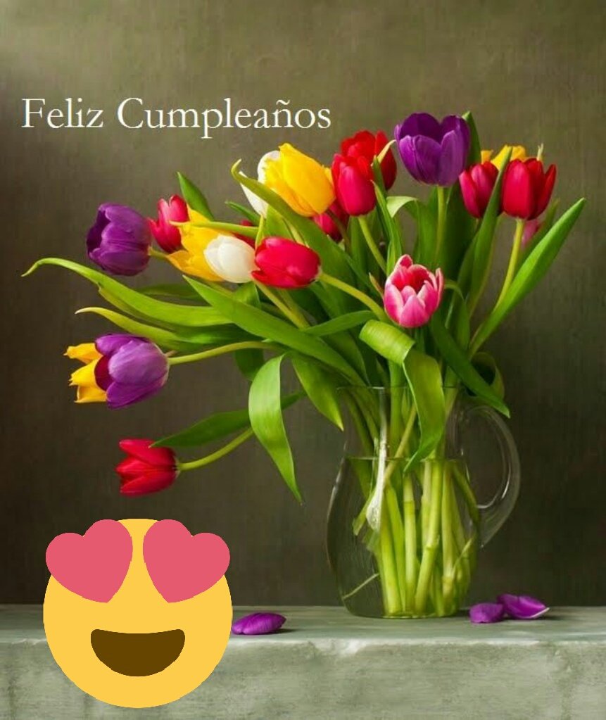 ElisaMotta5's tweet photo. @catherine_fulop https://t.co/uo9JcvcAOJ