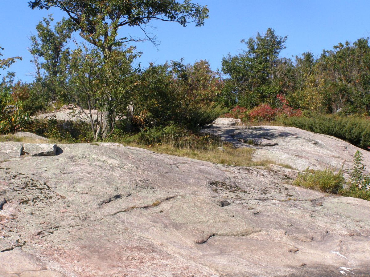 NaturesYear's tweet photo. Discover Land Between ecoregion - aka north @kawarthaNOW & work of @thelndbtwn charity, @KLTptbo & #Buckhorn Trails https://t.co/ISth2ZMPJX https://t.co/LtC4SOWw4a