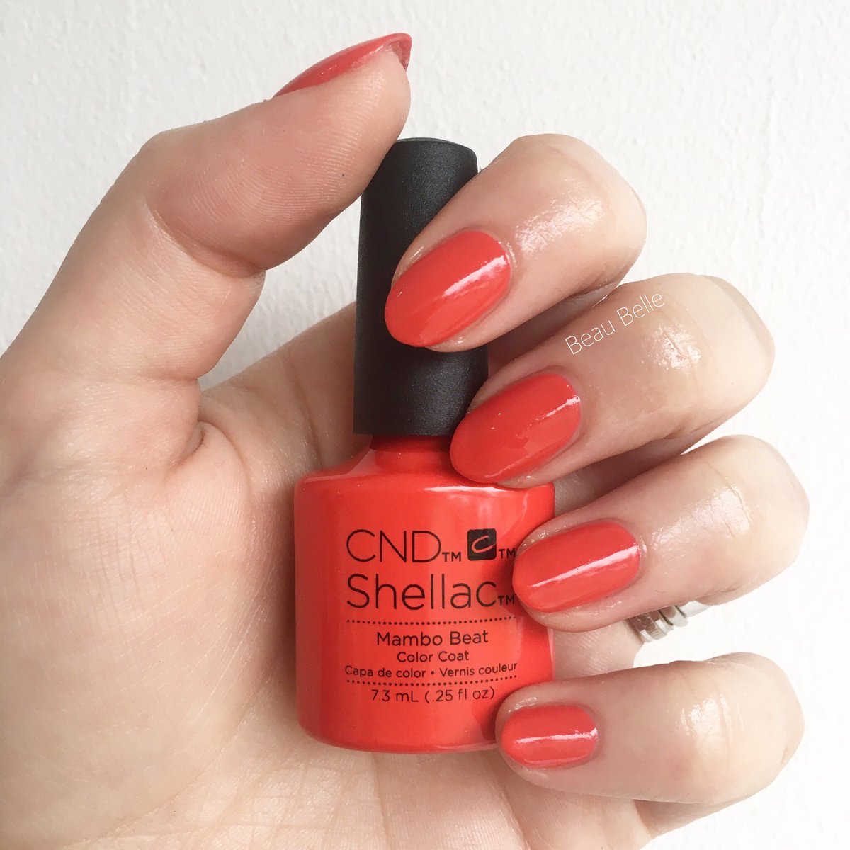 beaubellesalon's tweet photo. We are in love the new Mambo Beat! #BeauBelle #MamboBeat #Shellac #CND #Nails @cndworld https://t.co/HMJEvz6ecT