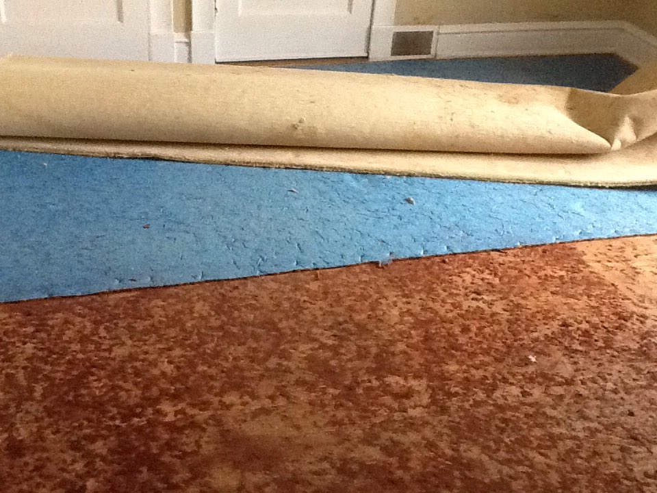 kyocumtlc's tweet photo. #springbreakproject Here is the start of the project. Can't wait to see the floors done. https://t.co/AyDXMtpRtt