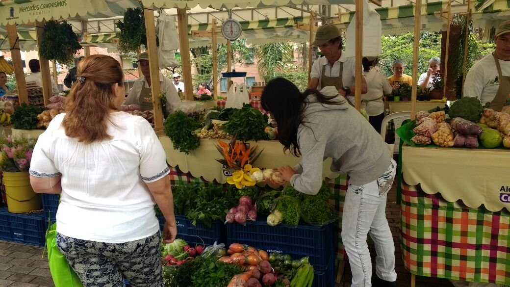 MerCampesinos's tweet photo. Cuando compras local apoyas el talento de nuestra gente. https://t.co/YfwzCw05P8