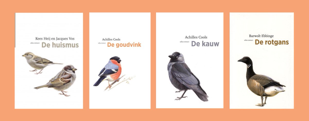 Niet vergeten! Morgen Teylers Ontmoet met auteurs van vogelboeken (14 - 16u) buff.ly/2nlPvHy Over de huismus, kauw, goudvink en meer