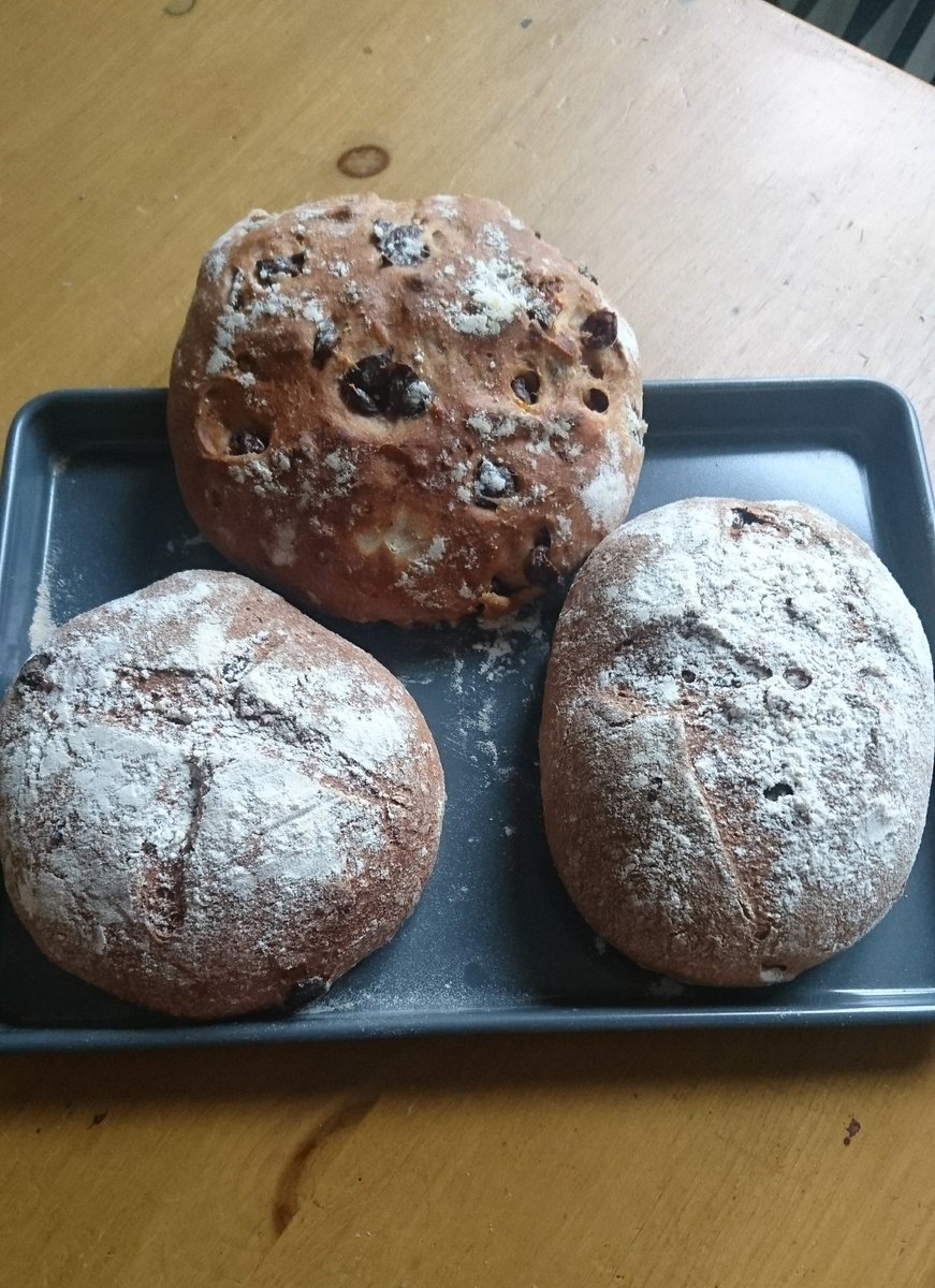 DonnaLBryan's tweet image. My little brown baps😁, plus an olive and sundried tomato bread #baking #walnutbread #weekend #actorslife