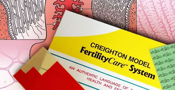 Creighton Fertility Chart