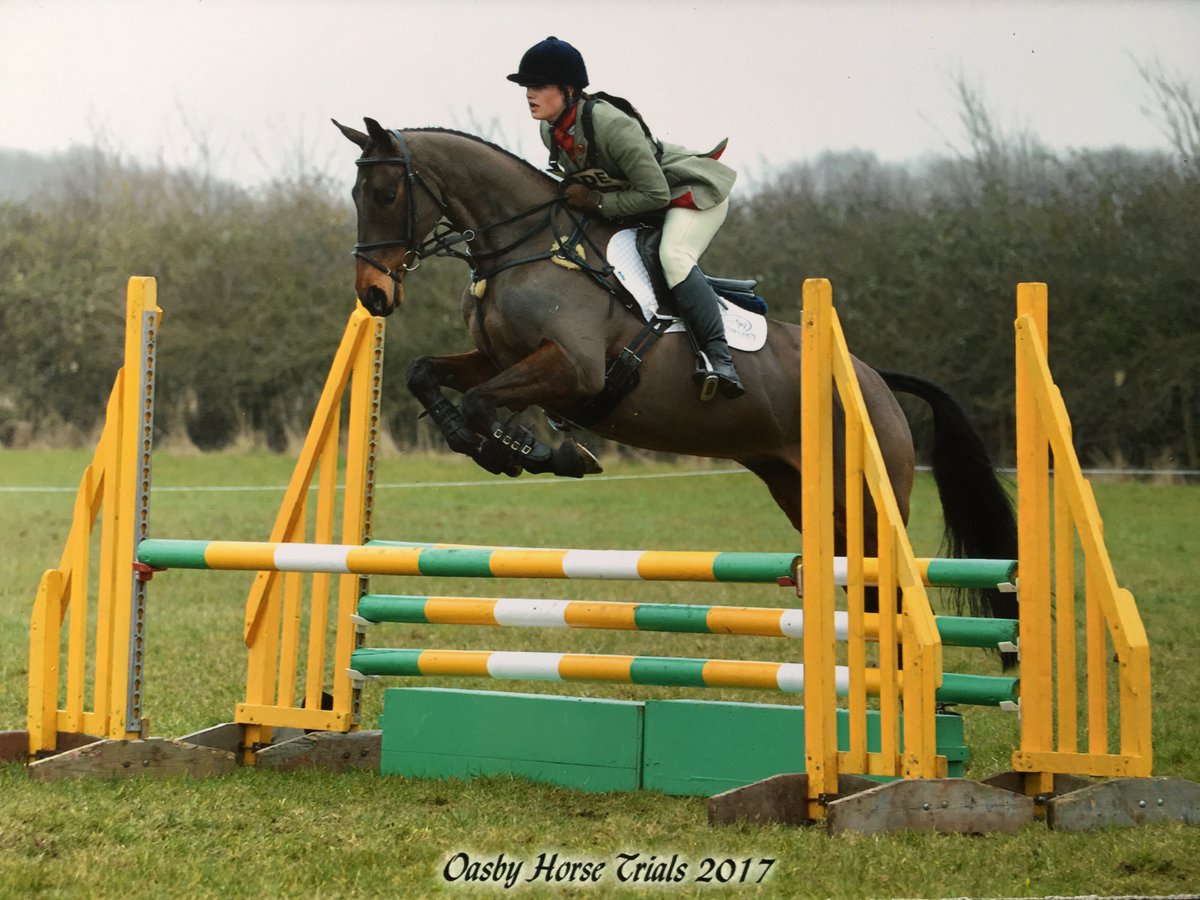 GS_Eventing's tweet image. So this happened today! 😁🙌🏼❤🏇🏻#OasbyHorseTrials #BritishEventing #workingpupil