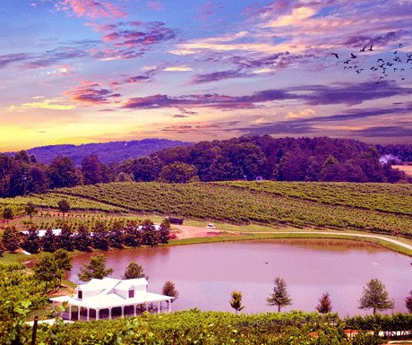 NEW POST! Top 5 destinations for the wine connoisseur bit.ly/2m4HOYM #travel #luxurytravel