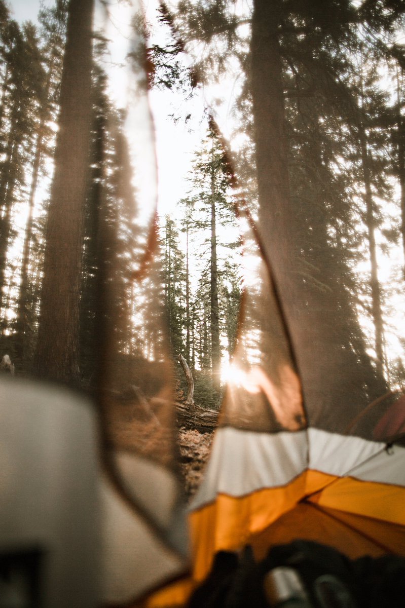 mike_pgregory's tweet photo. Missing these moments in Yosemite. https://t.co/ePmFulpdup